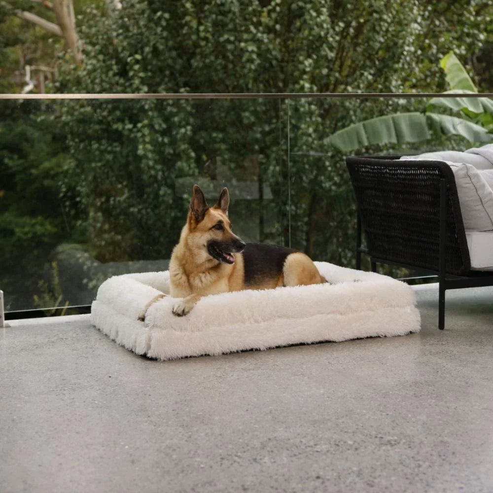 Cover - Quick Shag Cream