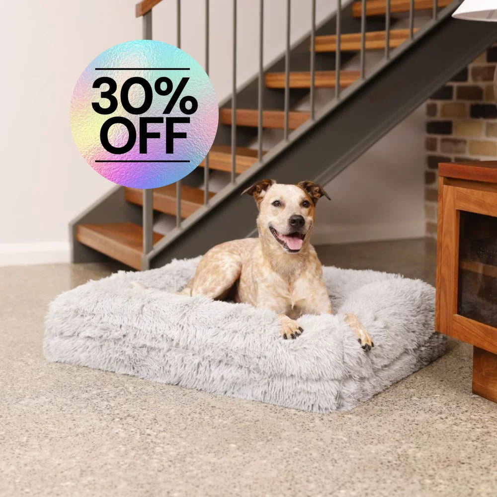 Cover - Quick Shag Grey