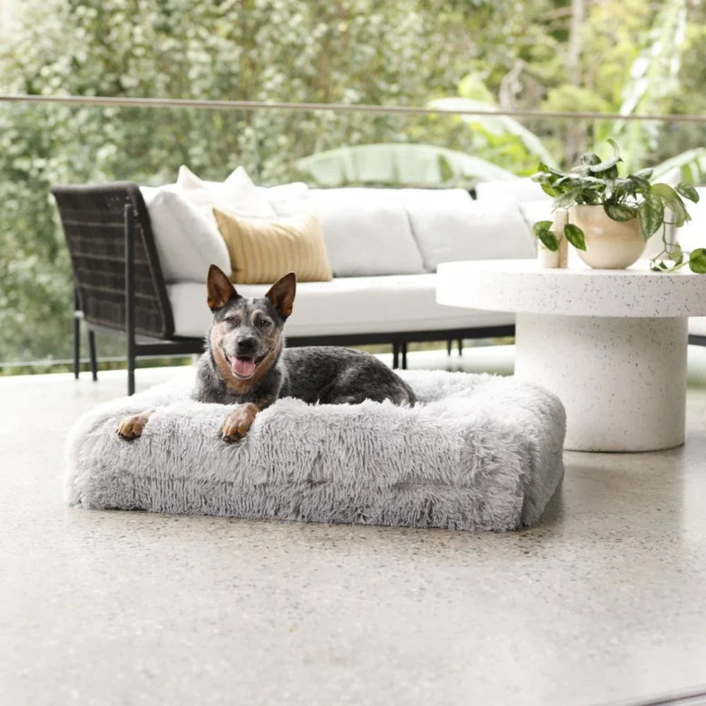 Cover - Quick Shag Grey