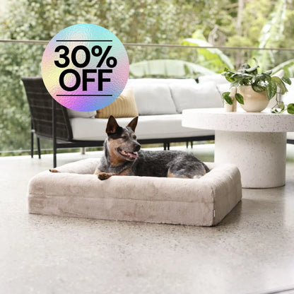 Cover - Rabbit Fur Pearl