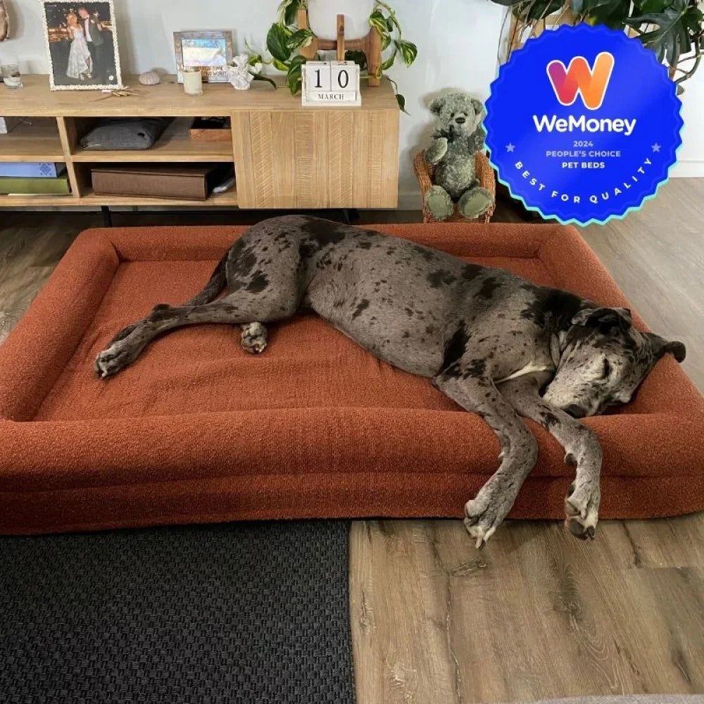 Extra Large Bed with Extra Cover Bundle