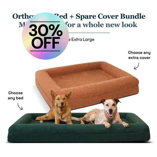 Extra Large Bed with Extra Cover Bundle