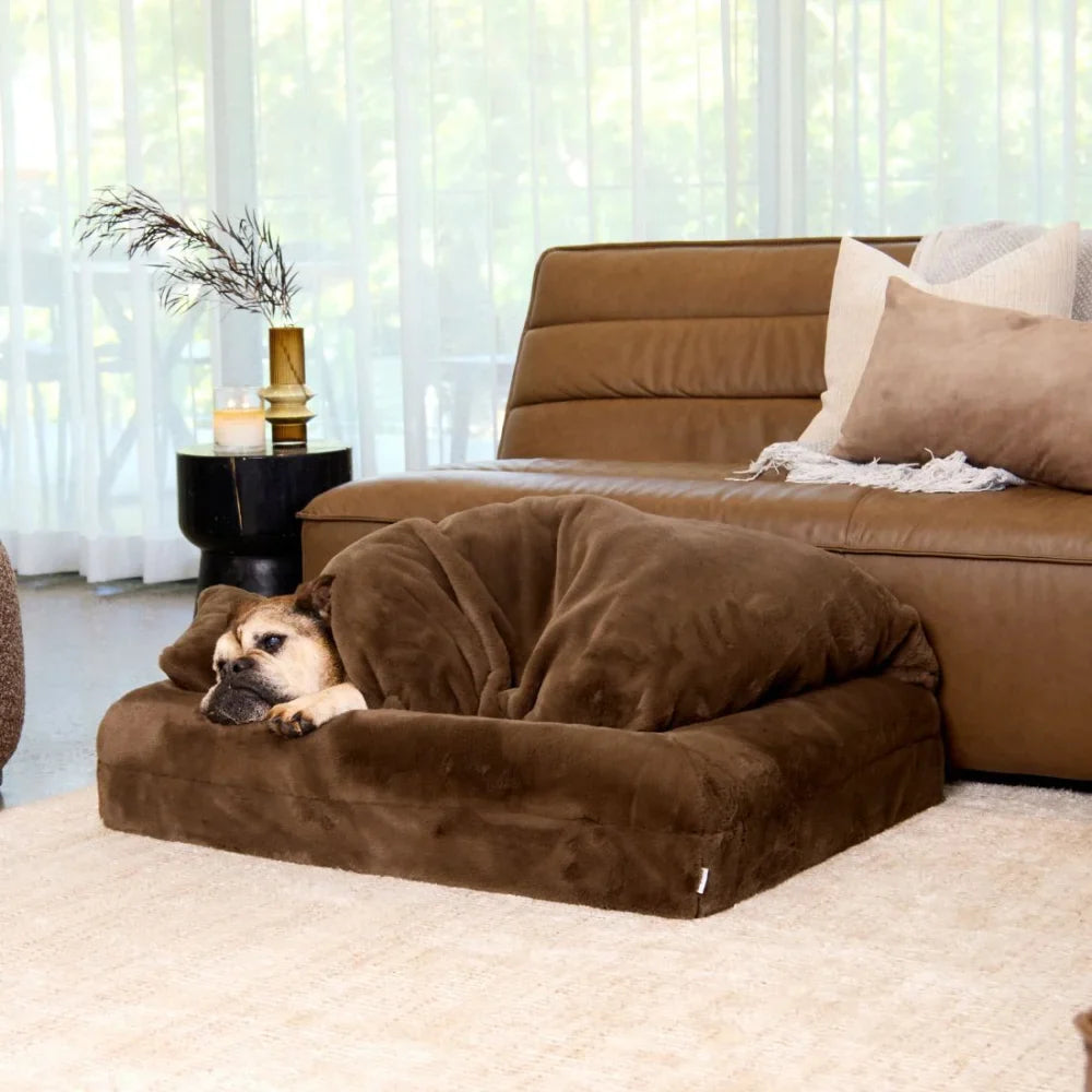 Faux Fur Lounger - Chocolate