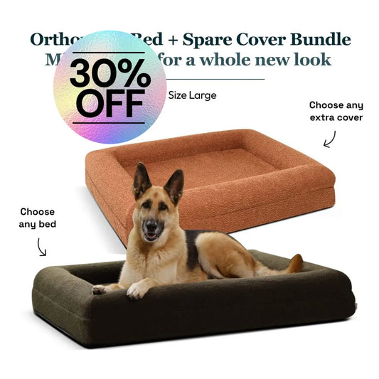 Large Bed with Extra Cover Bundle