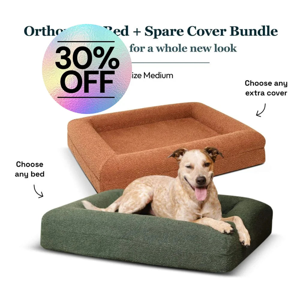 Medium Bed with Extra Cover Bundle