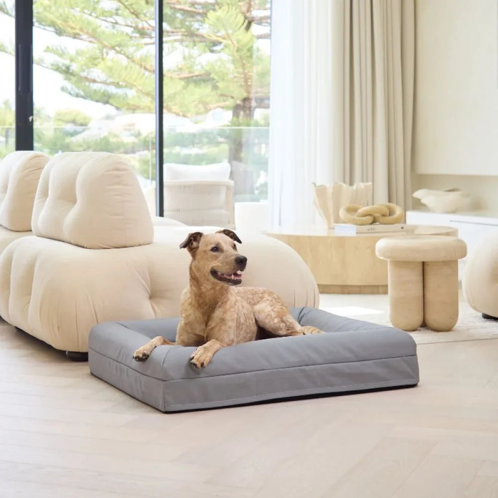 Medium Bed with Extra Cover Bundle