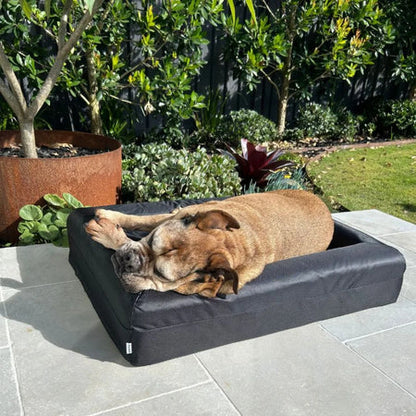 Memory Foam Dog Bed - Armour Black