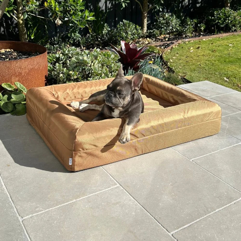 Memory Foam Dog Bed - Armour Hamilton Brown