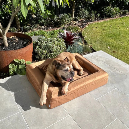 Memory Foam Dog Bed - Armour Hamilton Brown