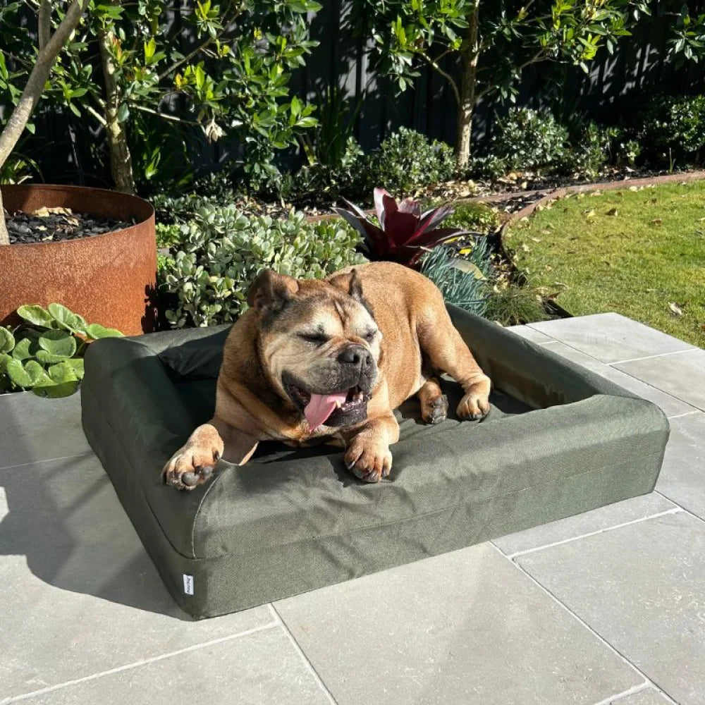 Memory Foam Dog Bed - Armour Pine Green