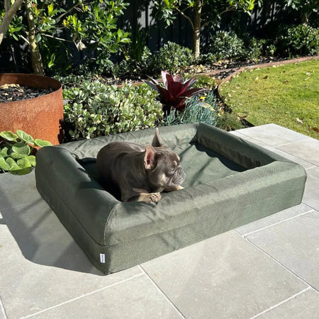 Memory Foam Dog Bed - Armour Pine Green