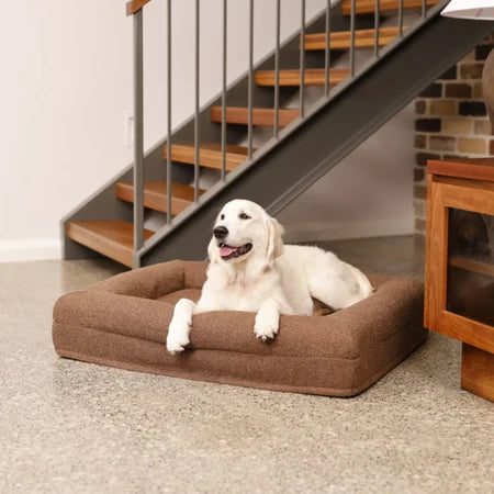 Memory Foam Dog Bed - Boucle Cocoa