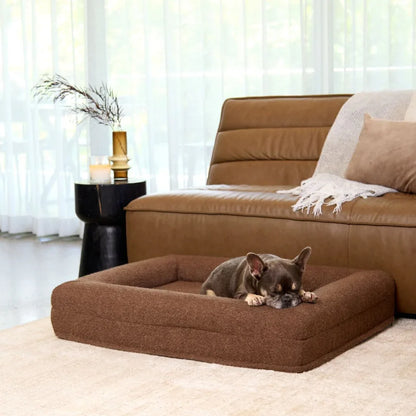 Memory Foam Dog Bed - Boucle Cocoa