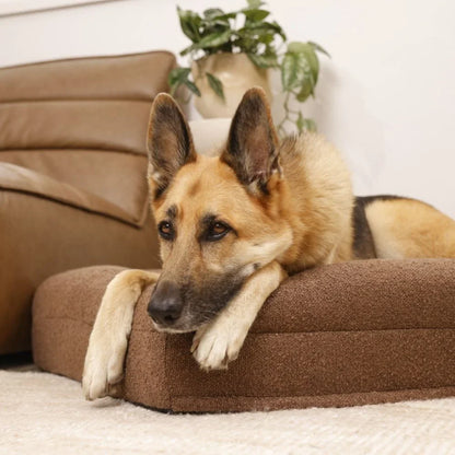 Memory Foam Dog Bed - Boucle Cocoa