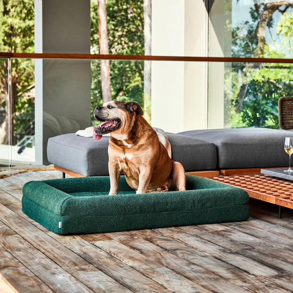 Memory Foam Dog Bed - Boucle Forest Green