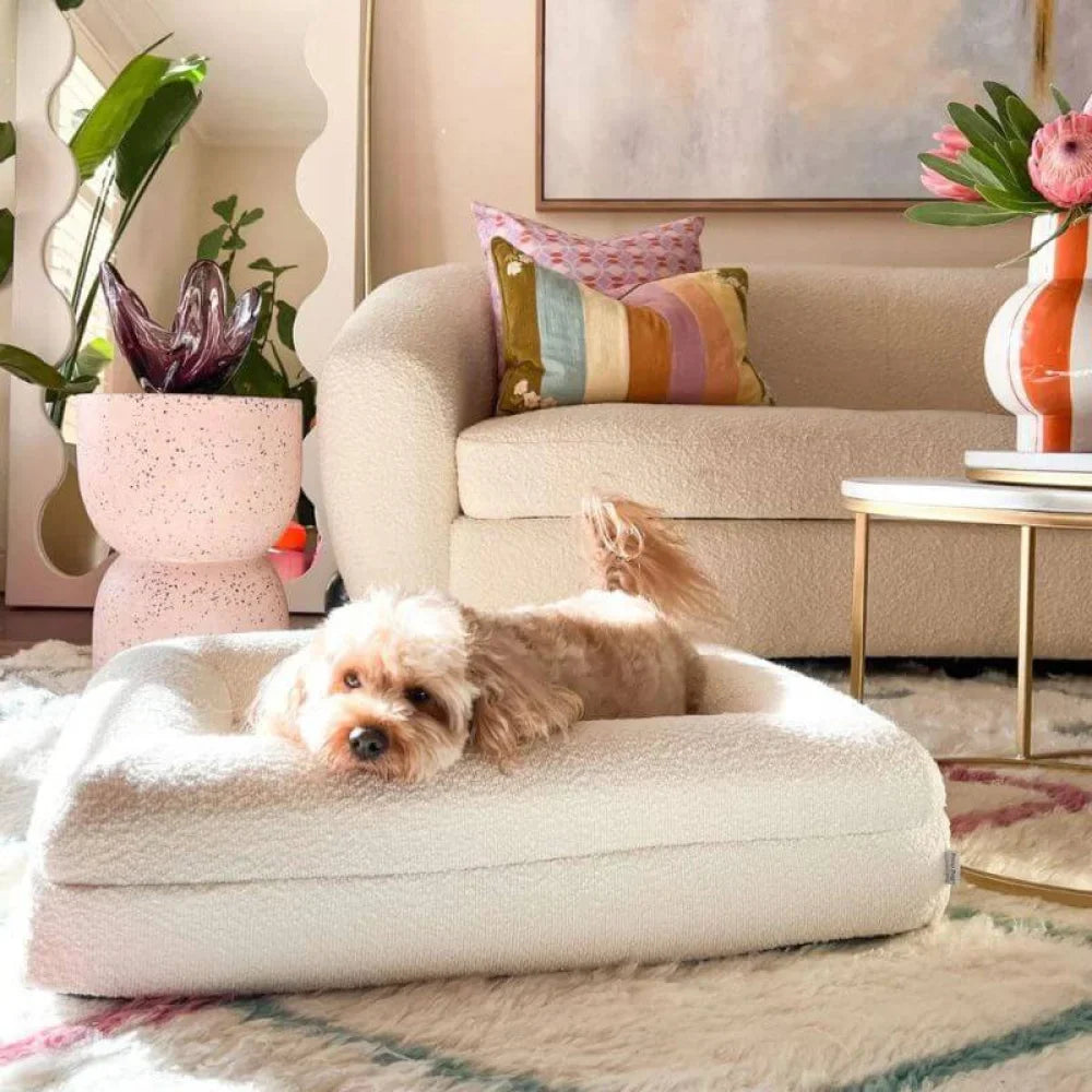 Memory Foam Dog Bed - Boucle Ivory