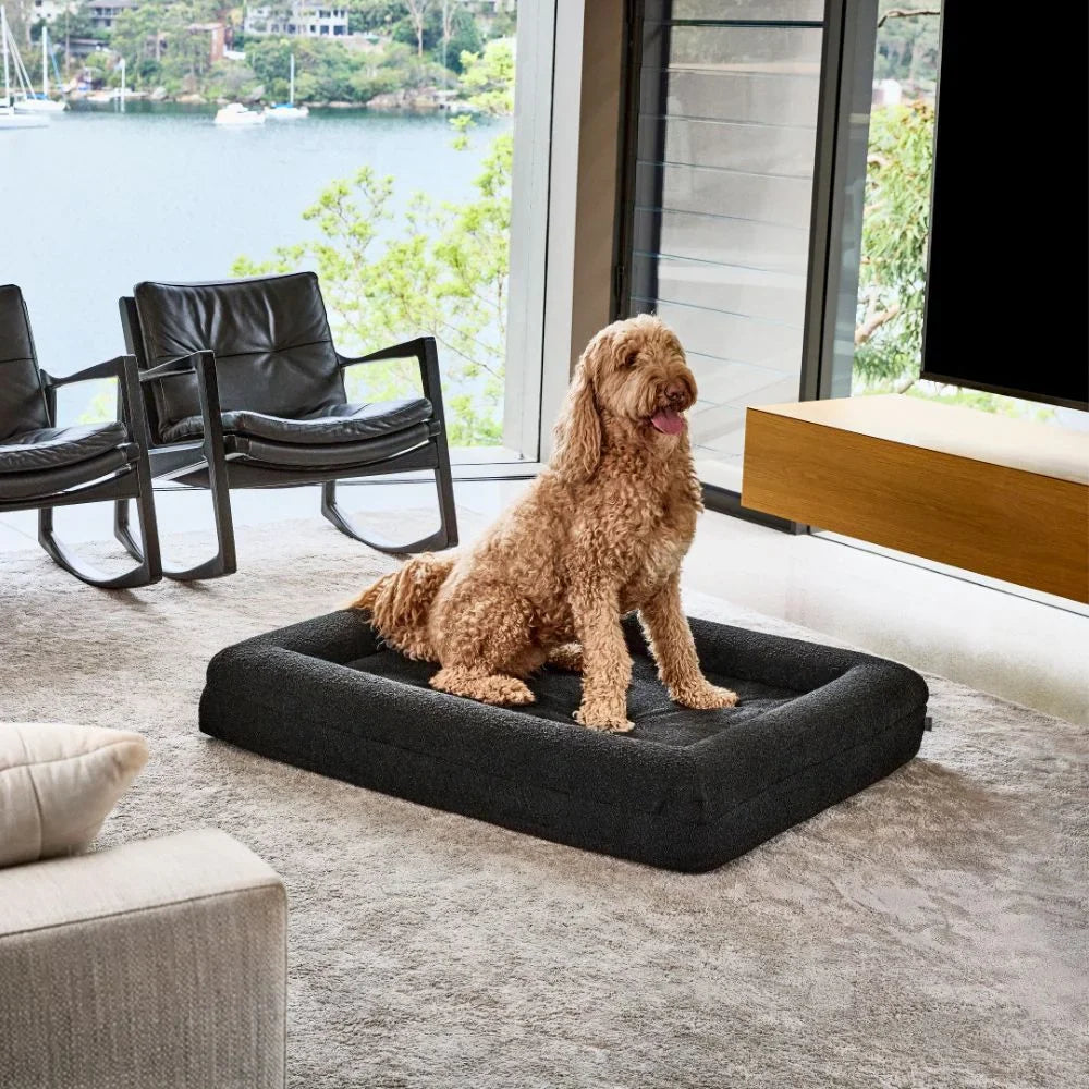Memory Foam Dog Bed - Boucle Nero