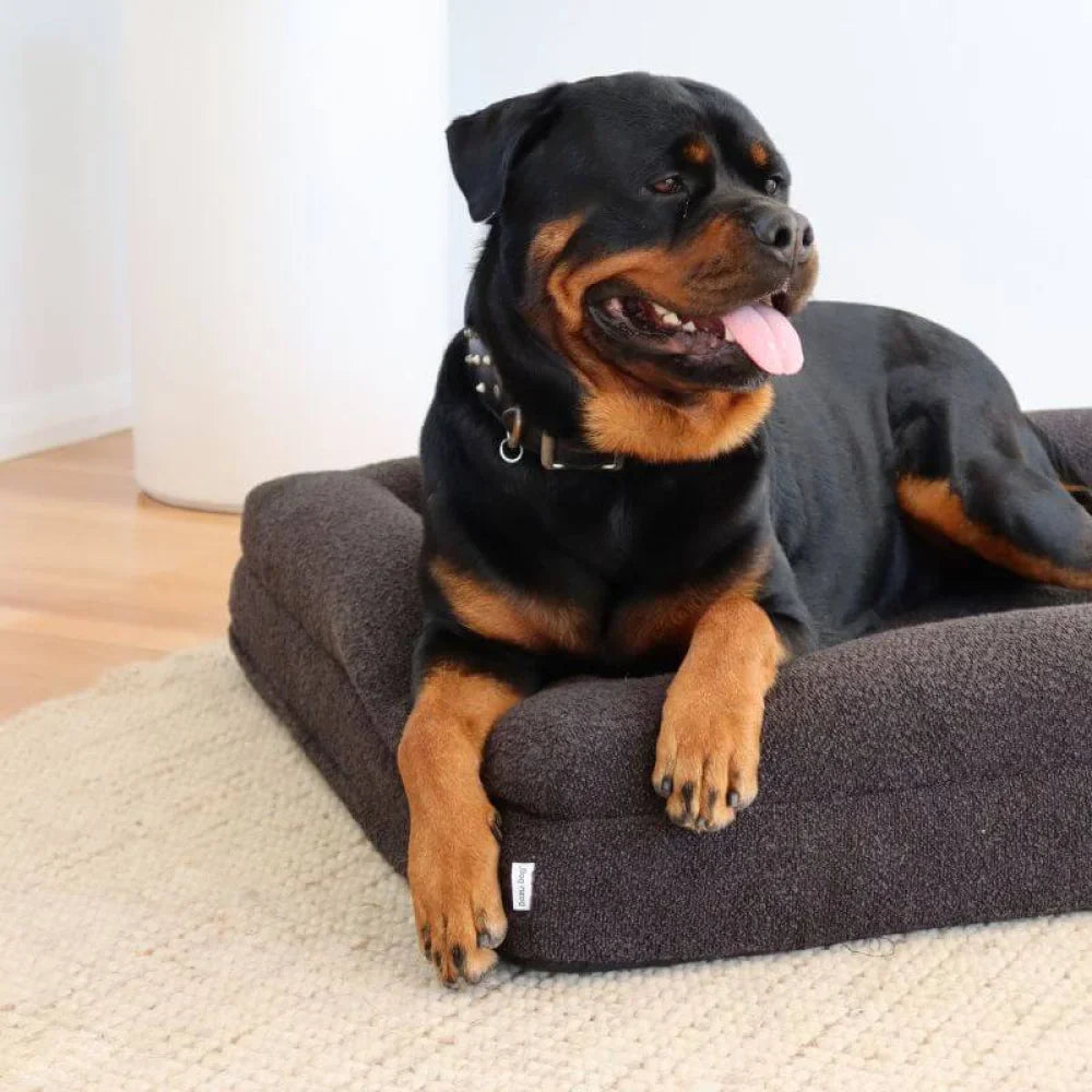 Memory Foam Dog Bed - Boucle Nero