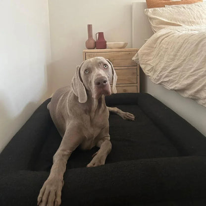 Memory Foam Dog Bed - Boucle Nero