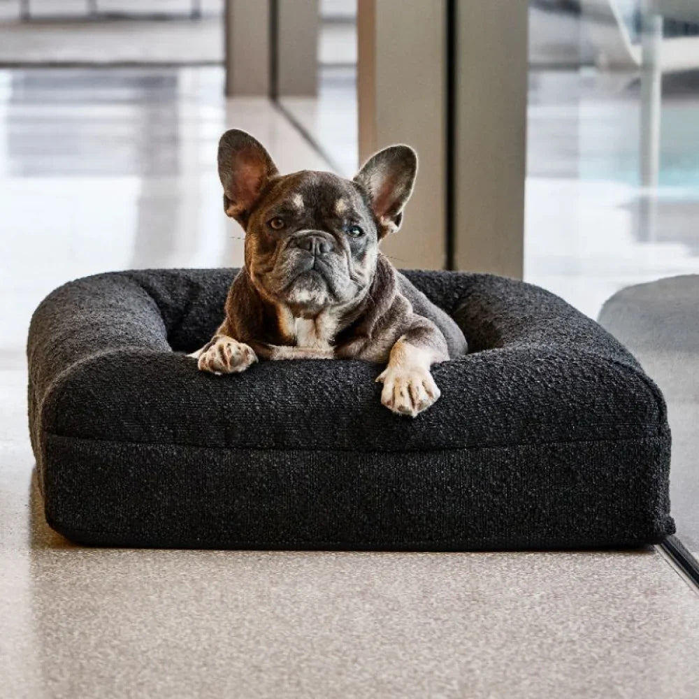 Memory Foam Dog Bed - Boucle Nero
