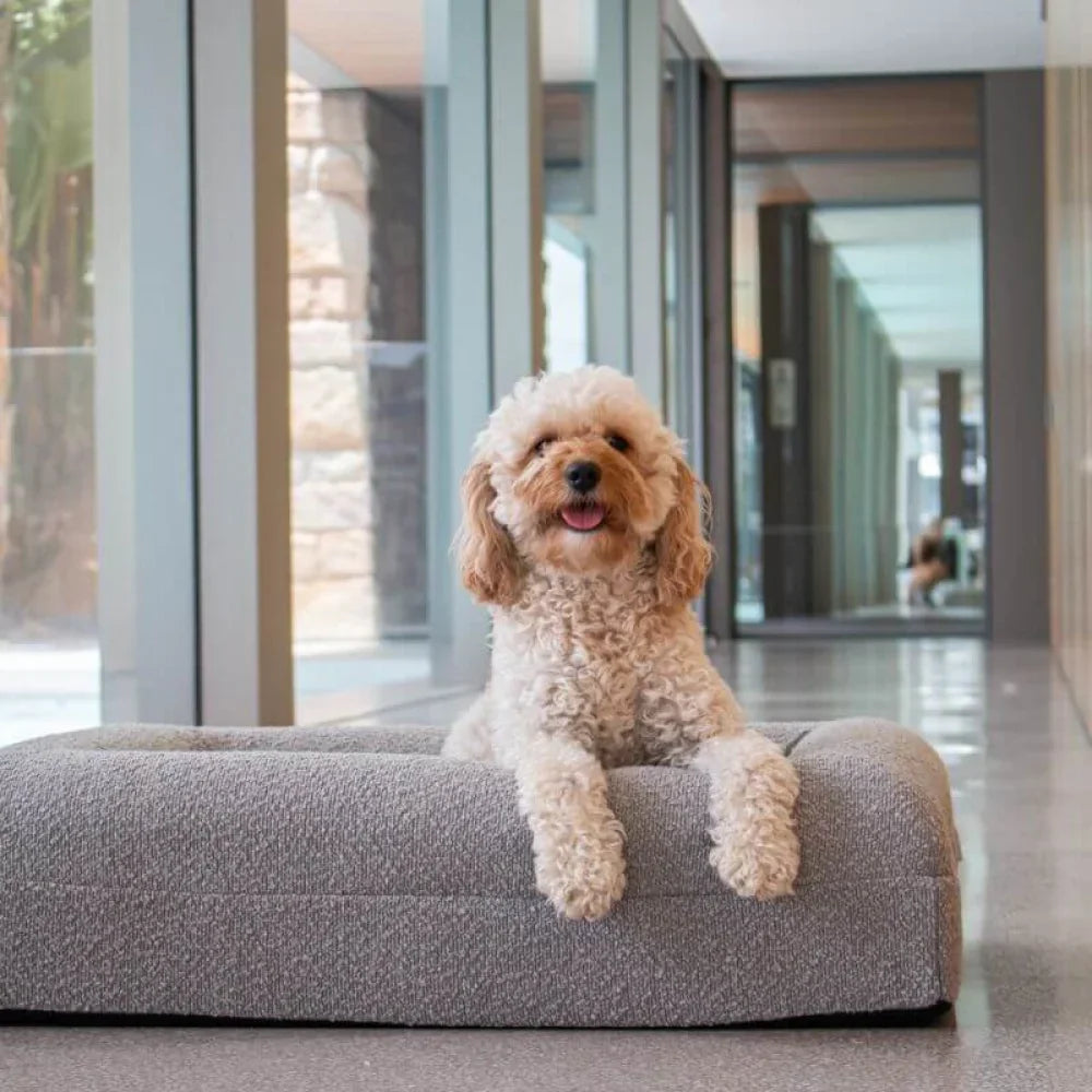 Memory Foam Dog Bed - Boucle Pebble