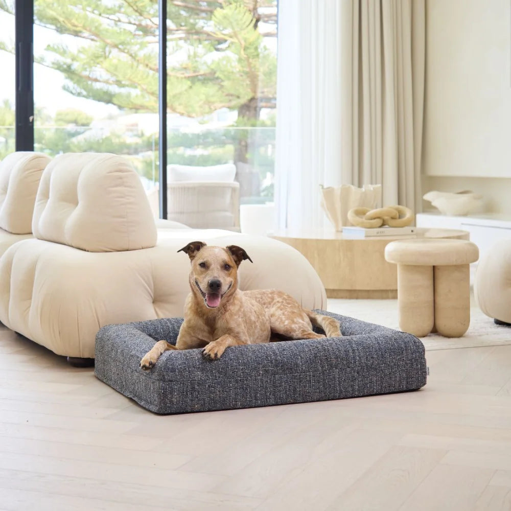 Memory Foam Dog Bed - Boucle Speckle Blue