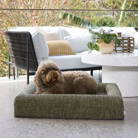 Memory Foam Dog Bed - Boucle Speckle Green