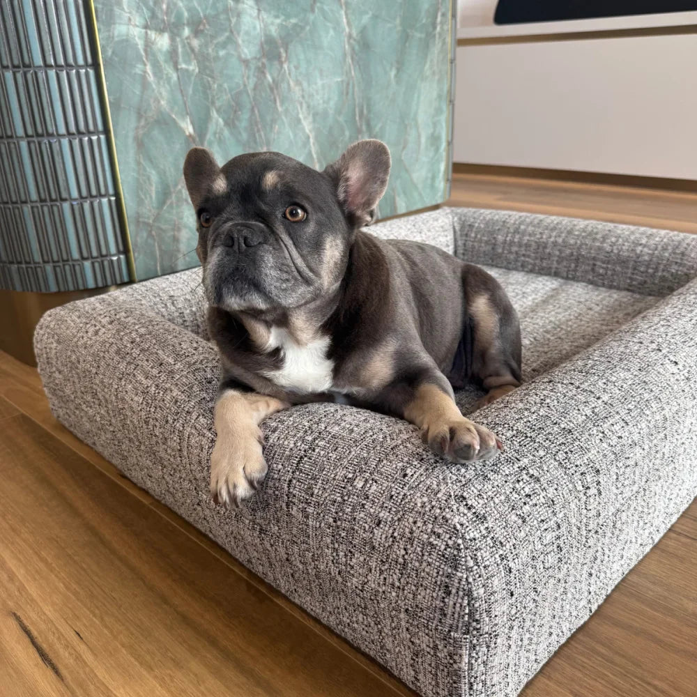 Memory Foam Dog Bed - Boucle Speckle Mono