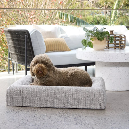 Memory Foam Dog Bed - Boucle Speckle Mono