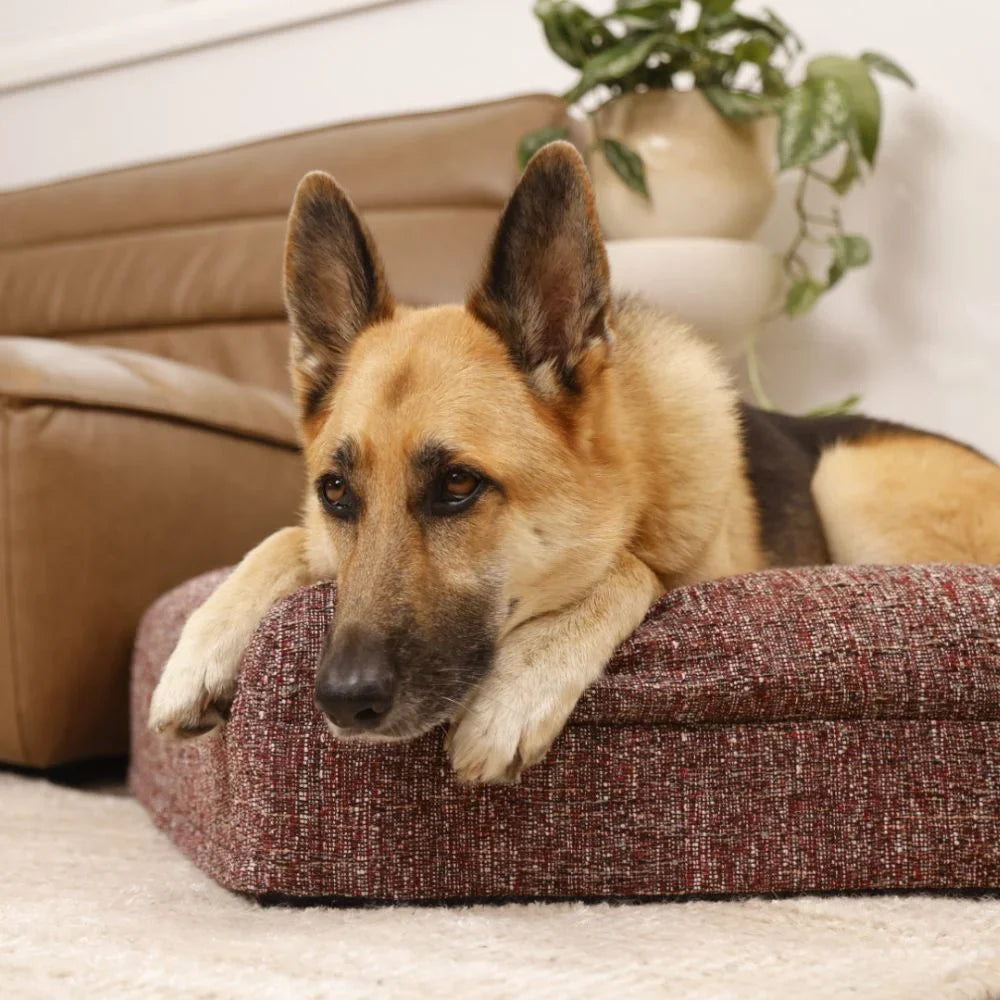 Memory Foam Dog Bed - Boucle Speckle Red