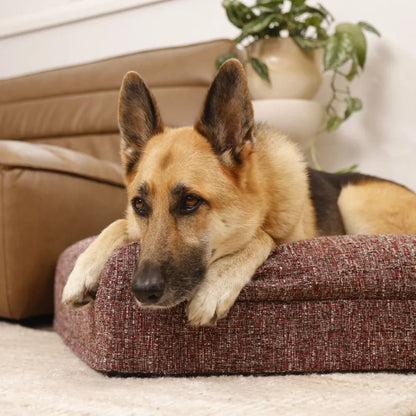 Memory Foam Dog Bed - Boucle Speckle Red