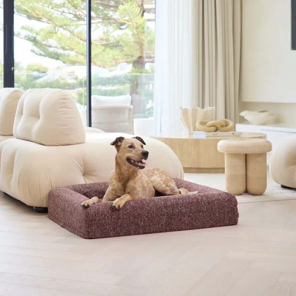 Memory Foam Dog Bed - Boucle Speckle Red