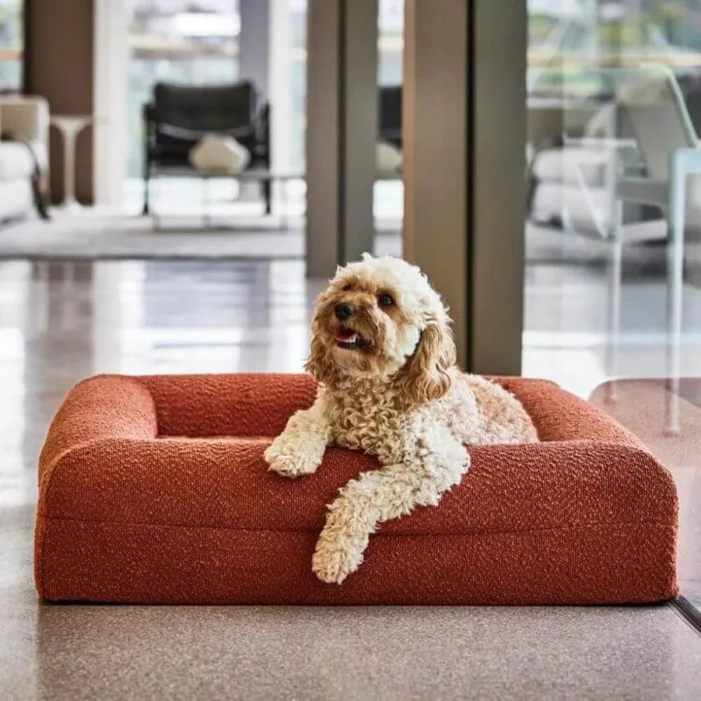 Memory Foam Dog Bed - Boucle Terracotta