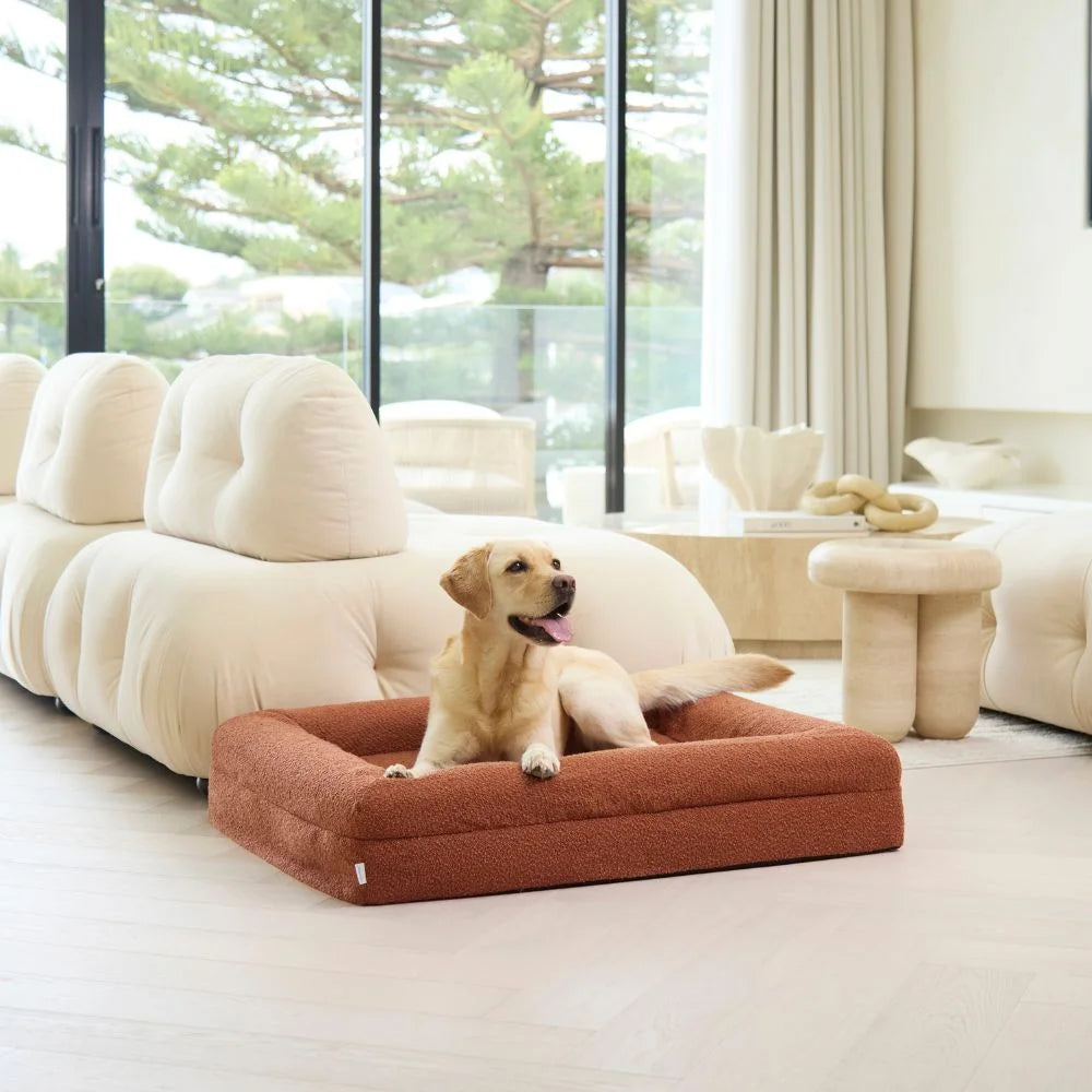 Memory Foam Dog Bed - Boucle Terracotta