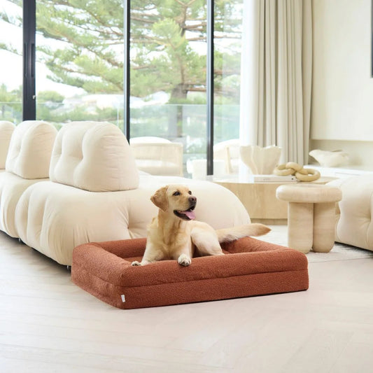 Memory Foam Dog Bed - Boucle Terracotta