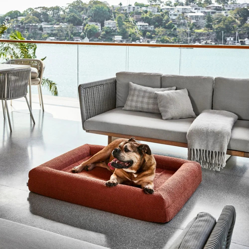 Memory Foam Dog Bed - Boucle Terracotta