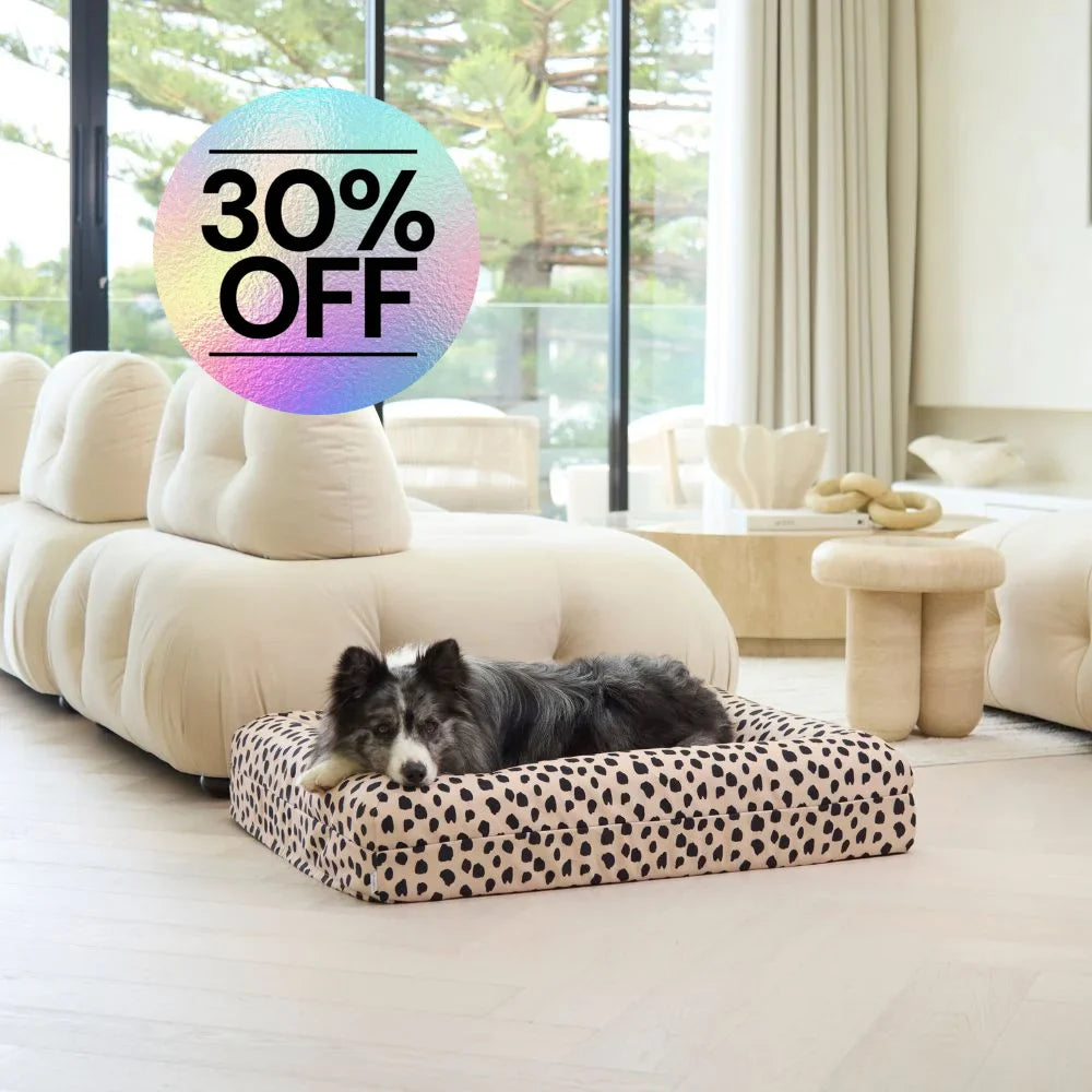 Memory Foam Dog Bed - Canvas Black Sands