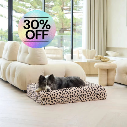 Memory Foam Dog Bed - Canvas Black Sands