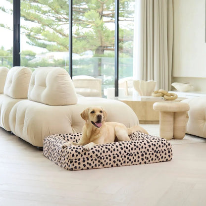 Memory Foam Dog Bed - Canvas Black Sands