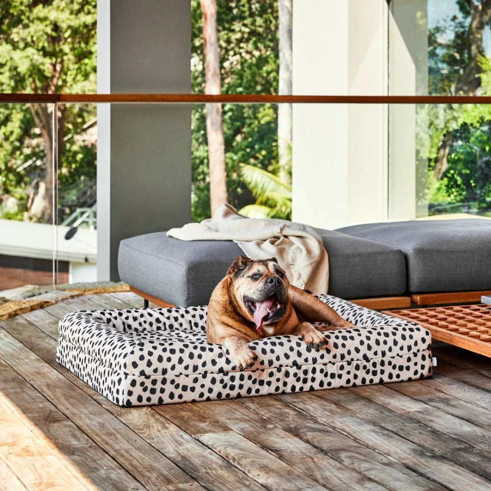 Memory Foam Dog Bed - Canvas Black Sands