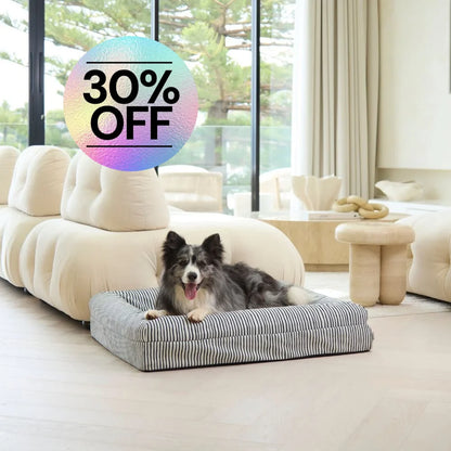 Memory Foam Dog Bed - Canvas Navy Lines