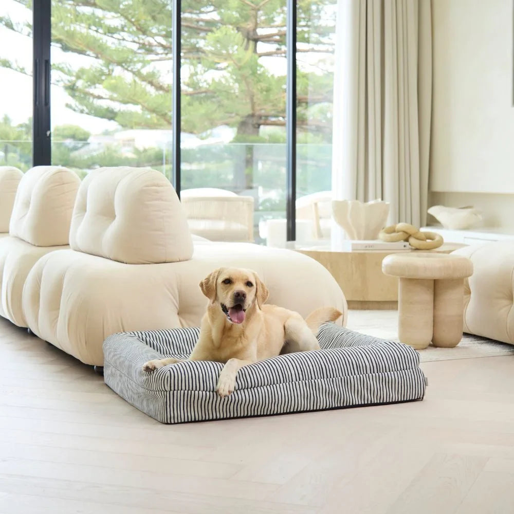 Memory Foam Dog Bed - Canvas Navy Lines