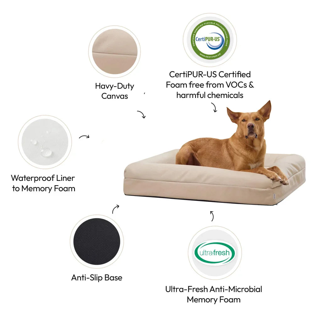 Memory Foam Dog Bed - Canvas Sand