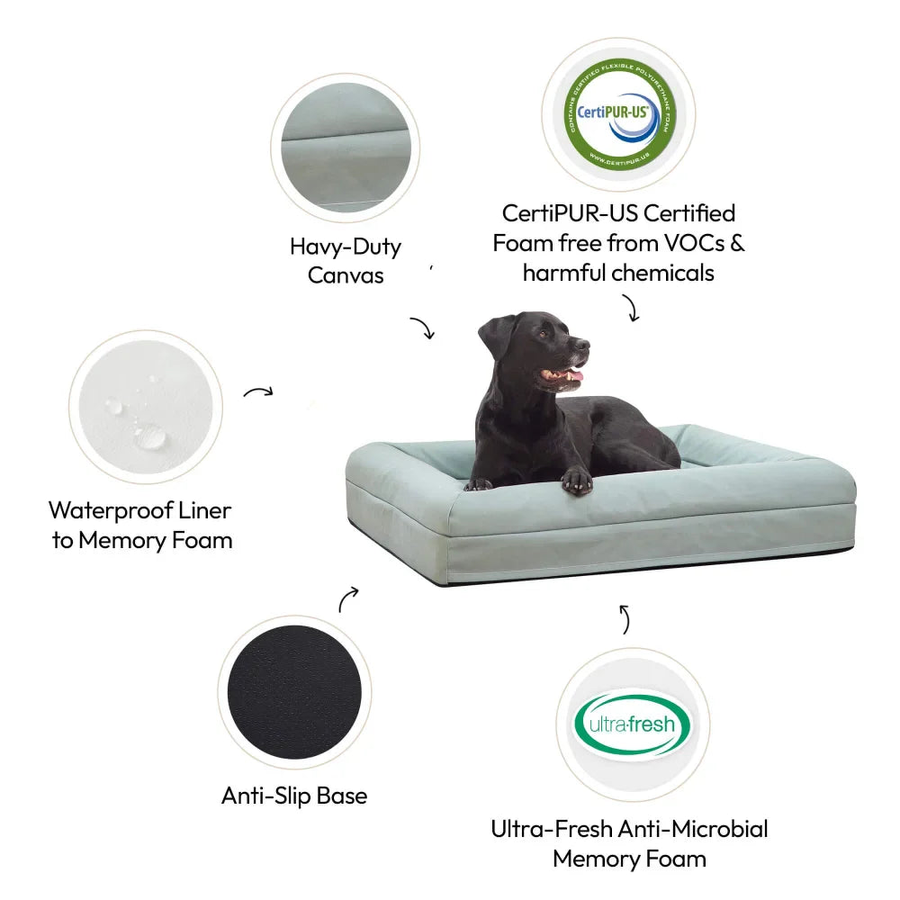 Memory Foam Dog Bed - Canvas Seafoam