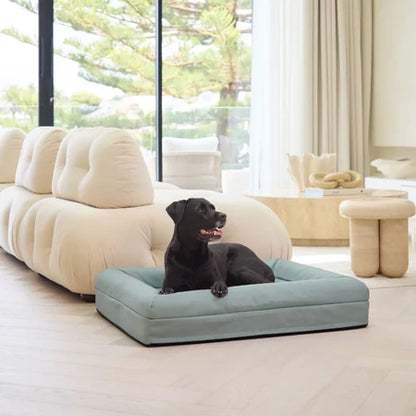 Memory Foam Dog Bed - Canvas Seafoam