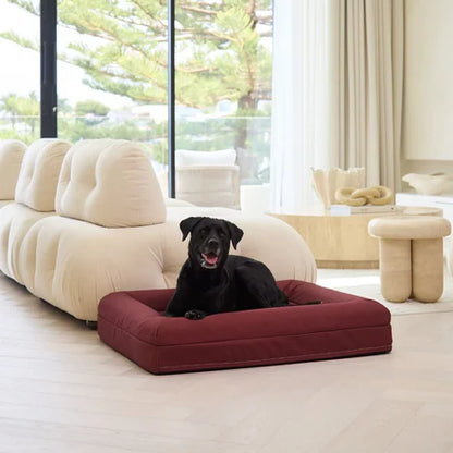 Memory Foam Dog Bed - Canvas Spiced Apple