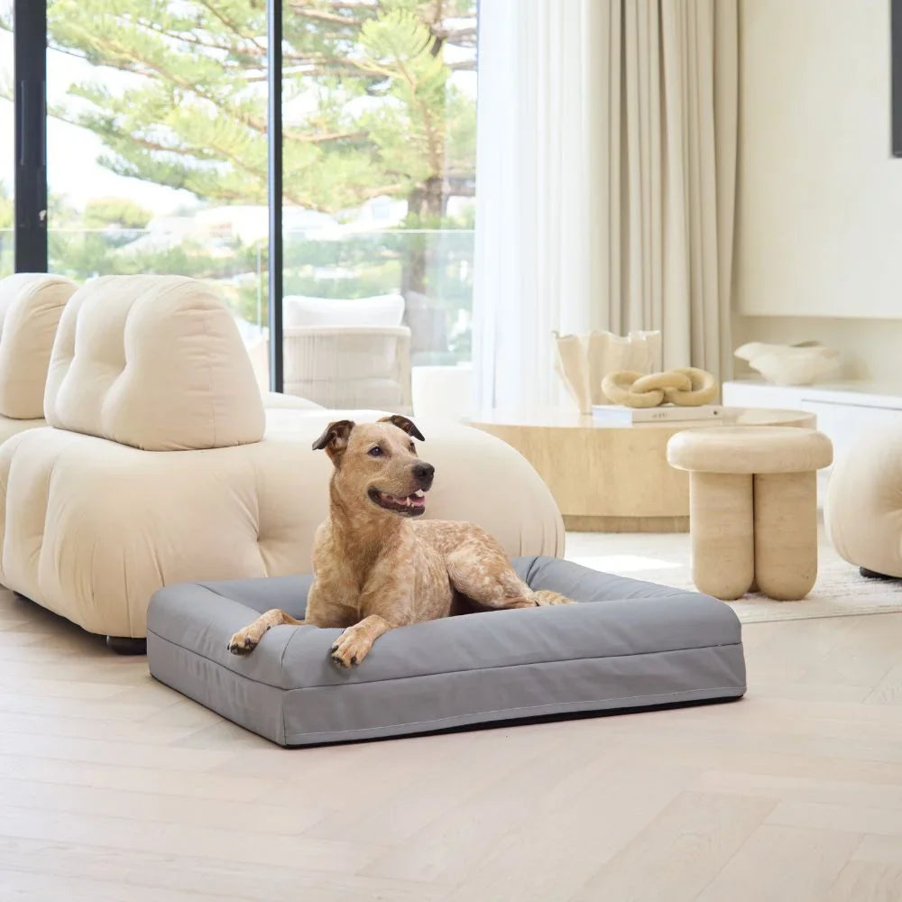 Memory Foam Dog Bed - Canvas Sterling