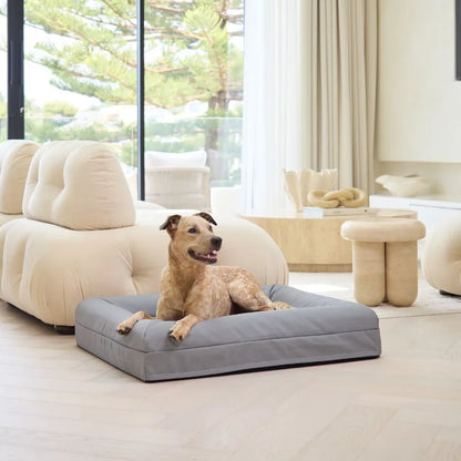 Memory Foam Dog Bed - Canvas Sterling