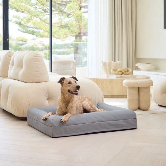 Memory Foam Dog Bed - Canvas Sterling