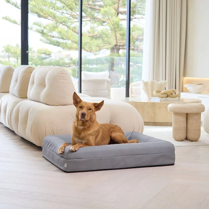 Memory Foam Dog Bed - Canvas Sterling